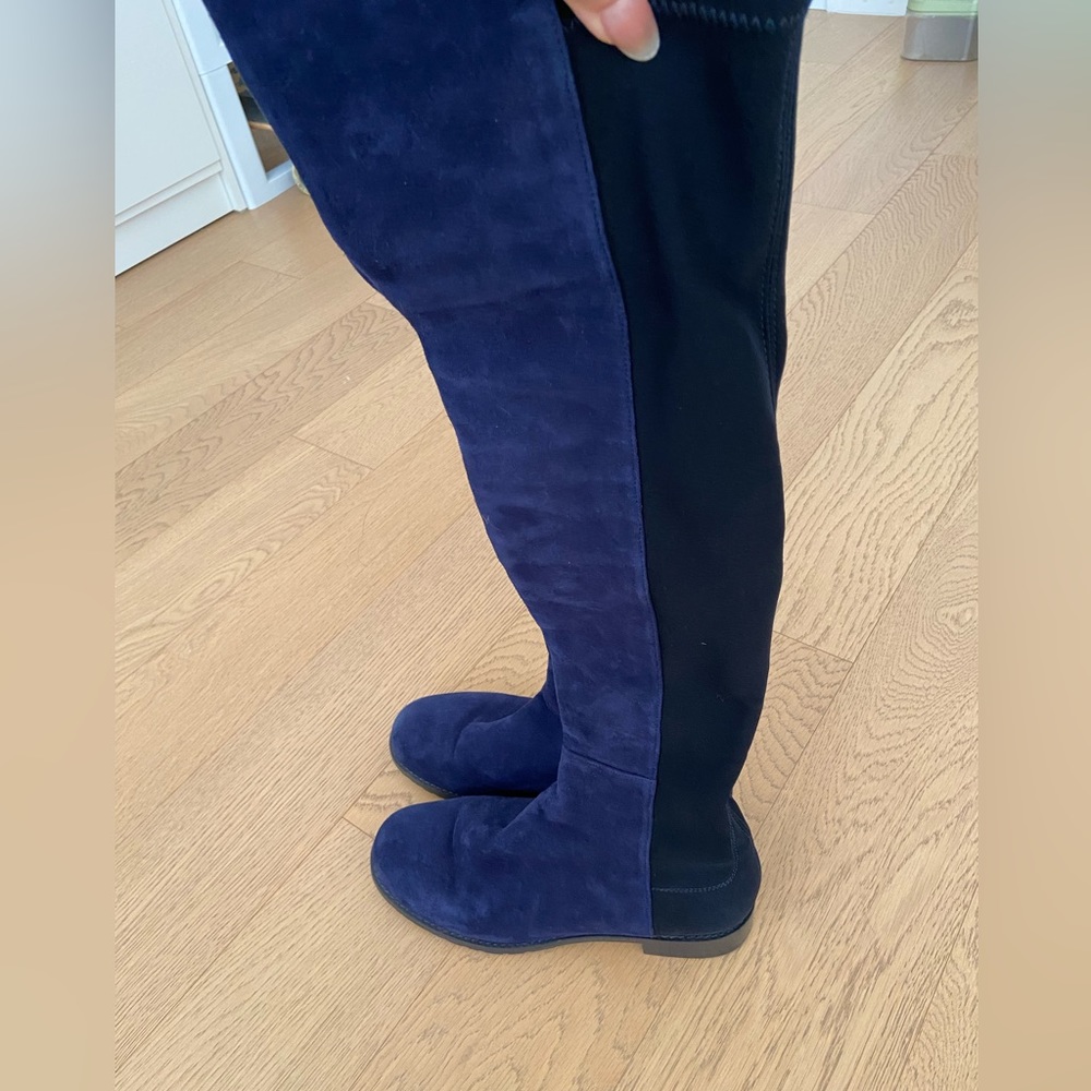 Woman Stuart Weitzman 5050 Dark Blue